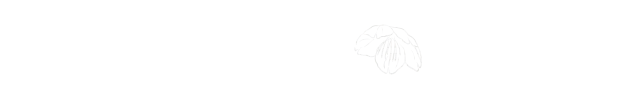 バスでお越しの方へ